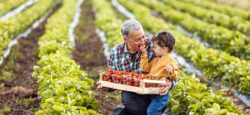 agricultura-familiar-na-geracao-de-oportunidades