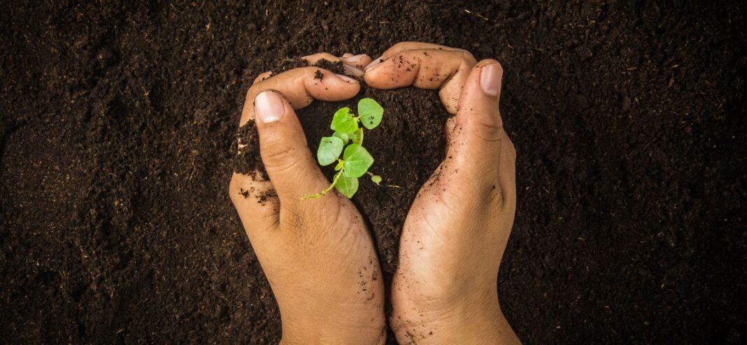 Conservação do solo: práticas que mantém a produtividade e protegem o meio ambiente